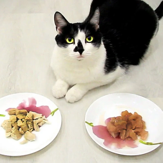 Raw Meat or Cooked Homemade Meals?