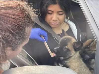 SPCA Hosts Canine Clinic to Promote Pet Health and Well-being