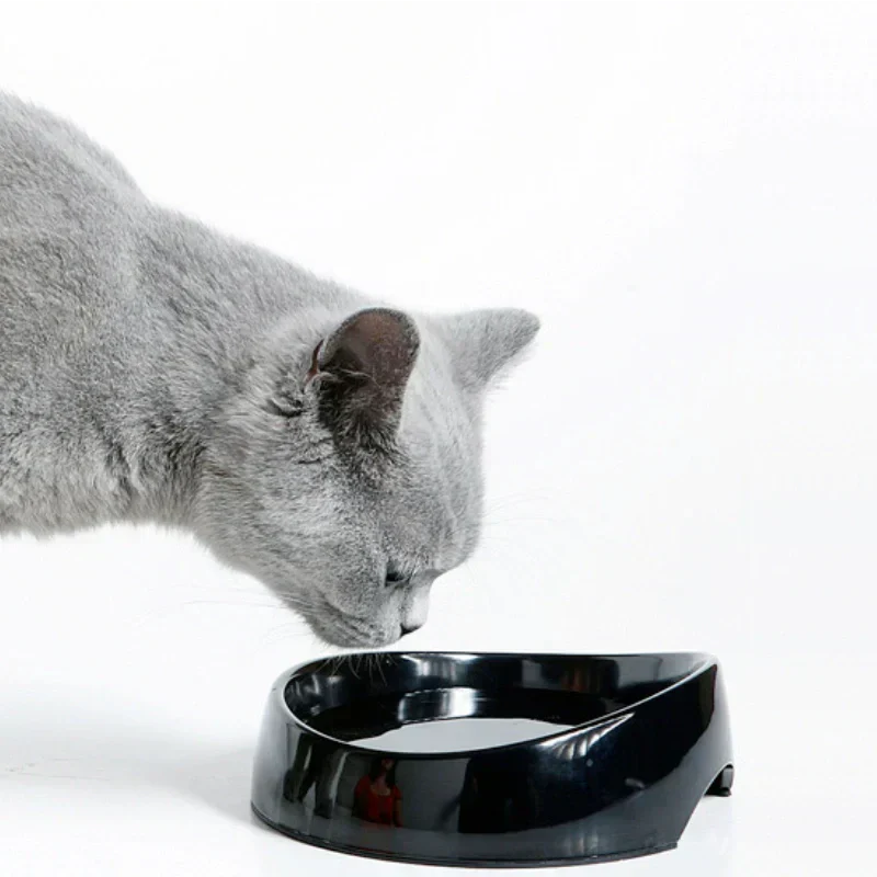 Cat-Drink-Water