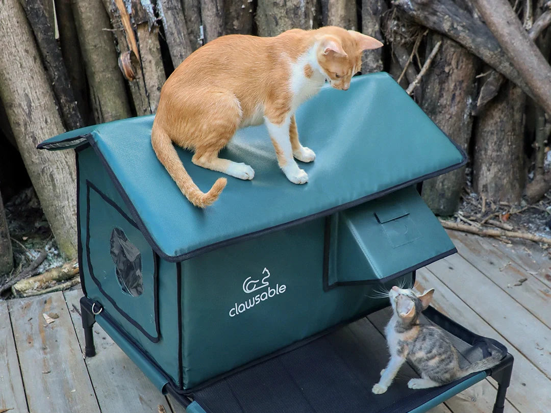 Clawsable Outdoor Cat House: Where Safety Meets Curiosity