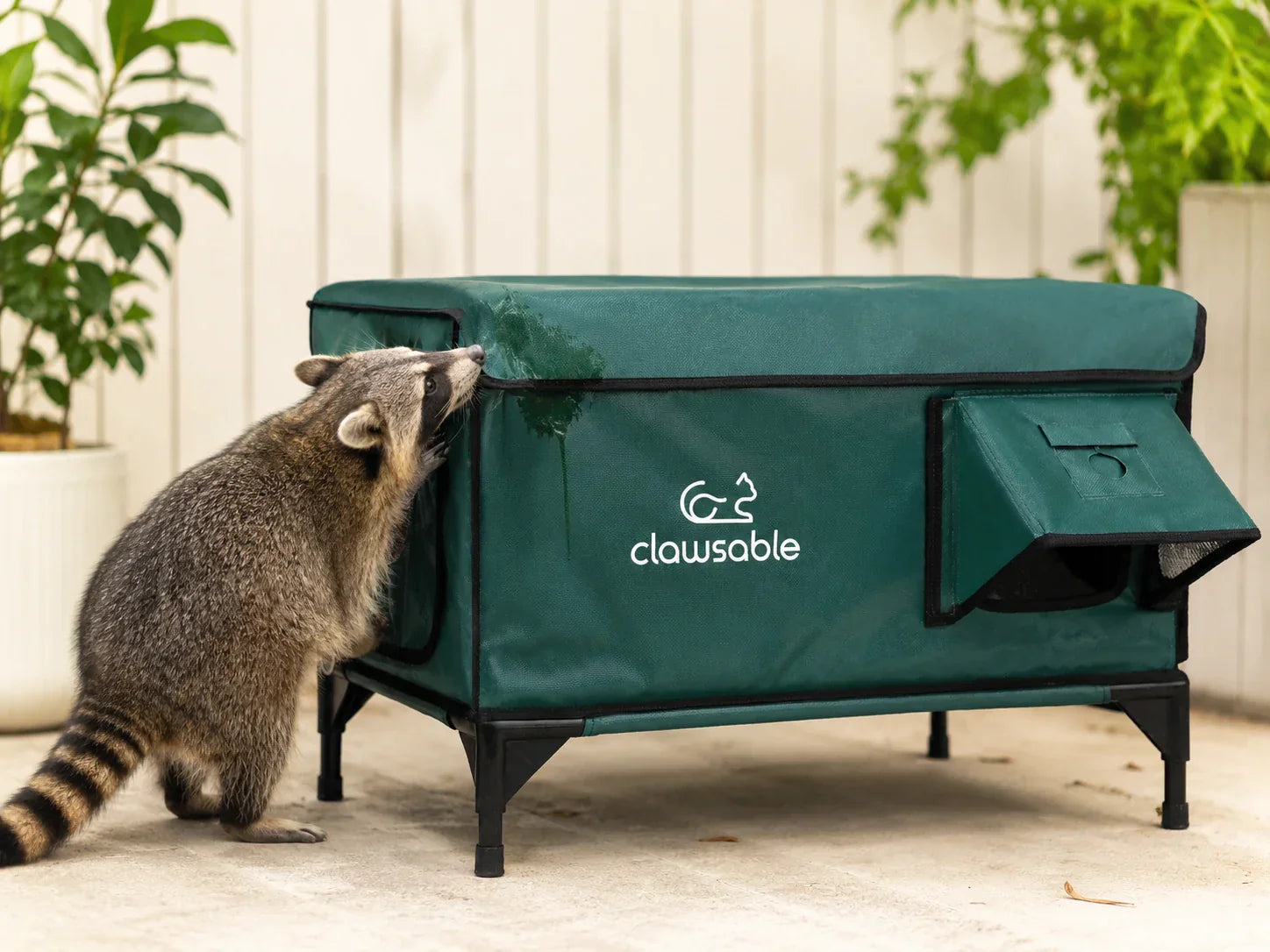 A Raccoon Peed on My Outdoor Cat House — Here's What Actually Worked