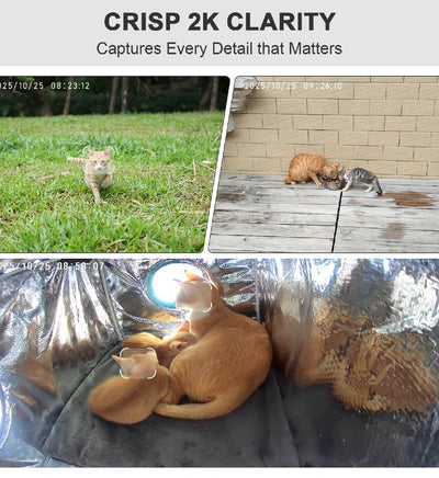 2025 Solar Wireless WiFi 2K Pet Camera