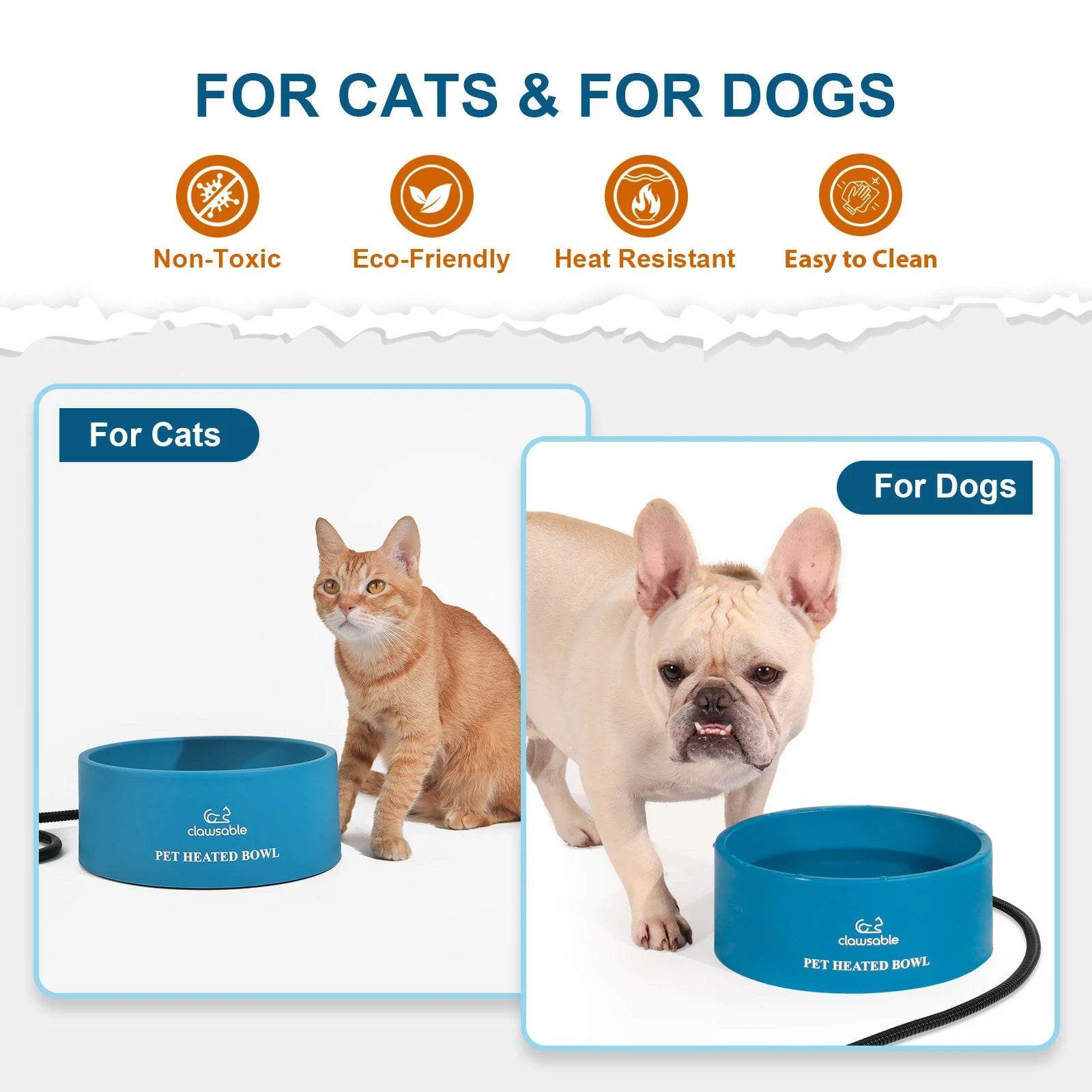 Cat bowl that 2024 opens with collar