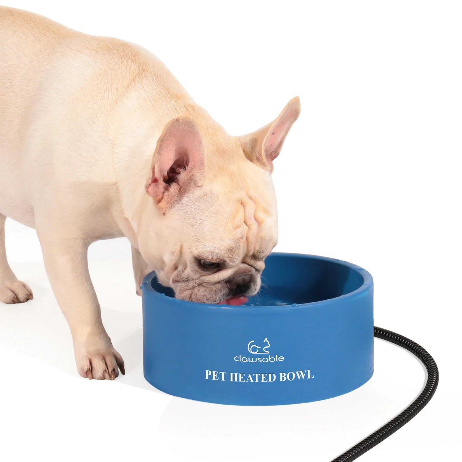 3.2L Extra Large Heated Pet Bowl Navy Blue