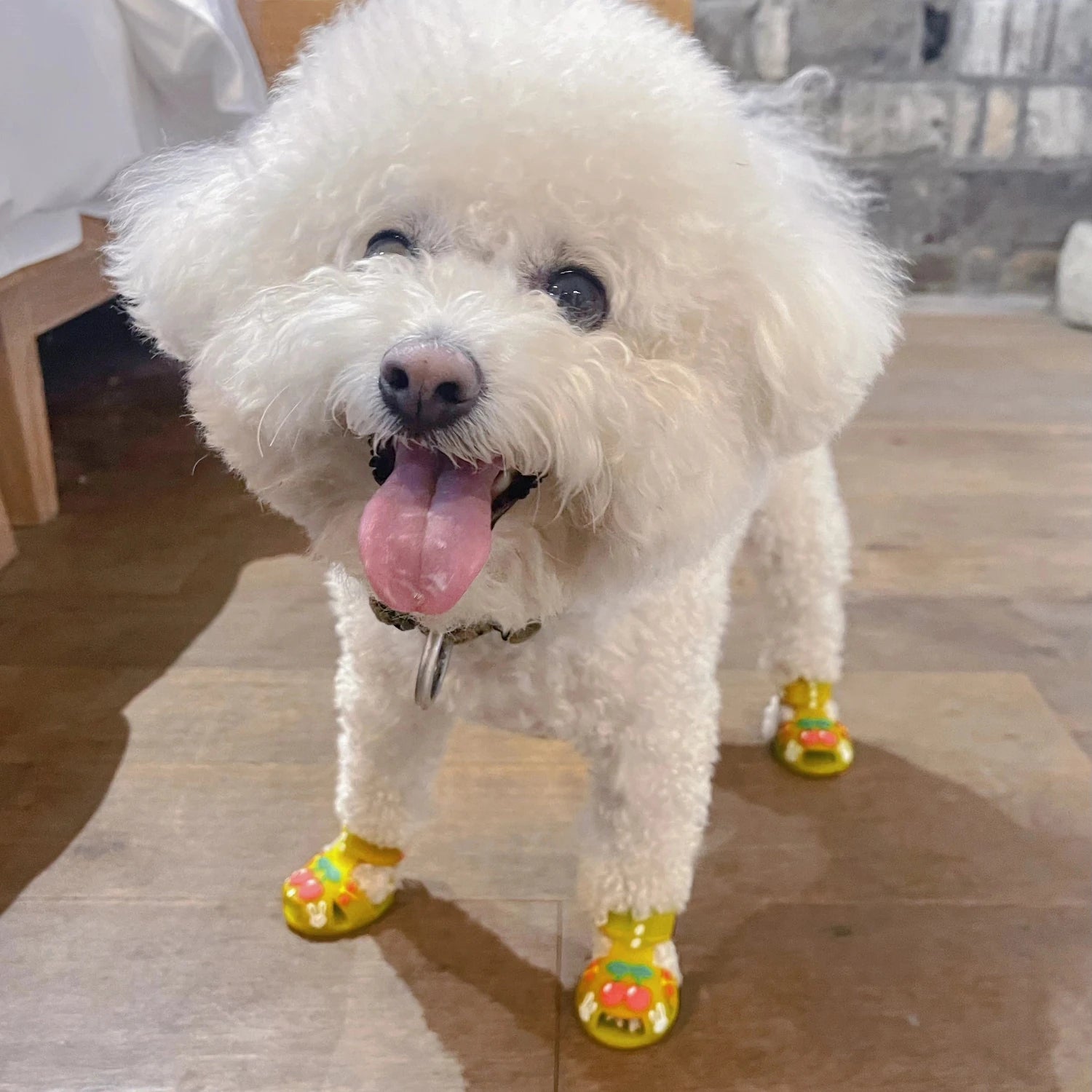 Adorable Anti-Slip Dog Shoes - Waterproof, Breathable, Stylish Pet Paw Protectors