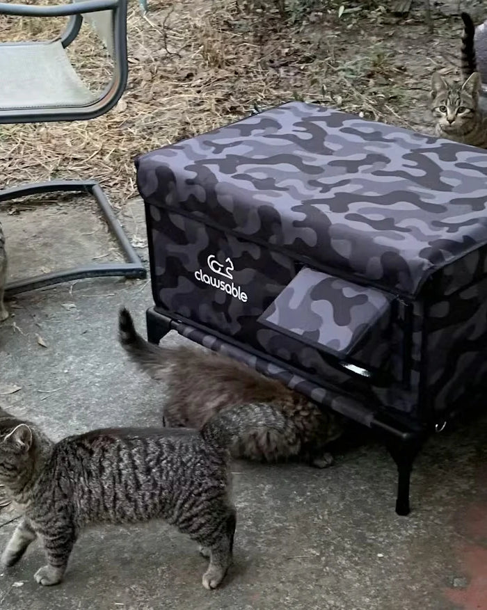 <h2>‘‘Didn’t know if they would use it, but they were checking it out within 30 minutes! And they love it!’’</h2><h4>⭐⭐⭐⭐⭐<br/></h4><h5>Joan</h5><p>Apr 2, 2025<br/></p>