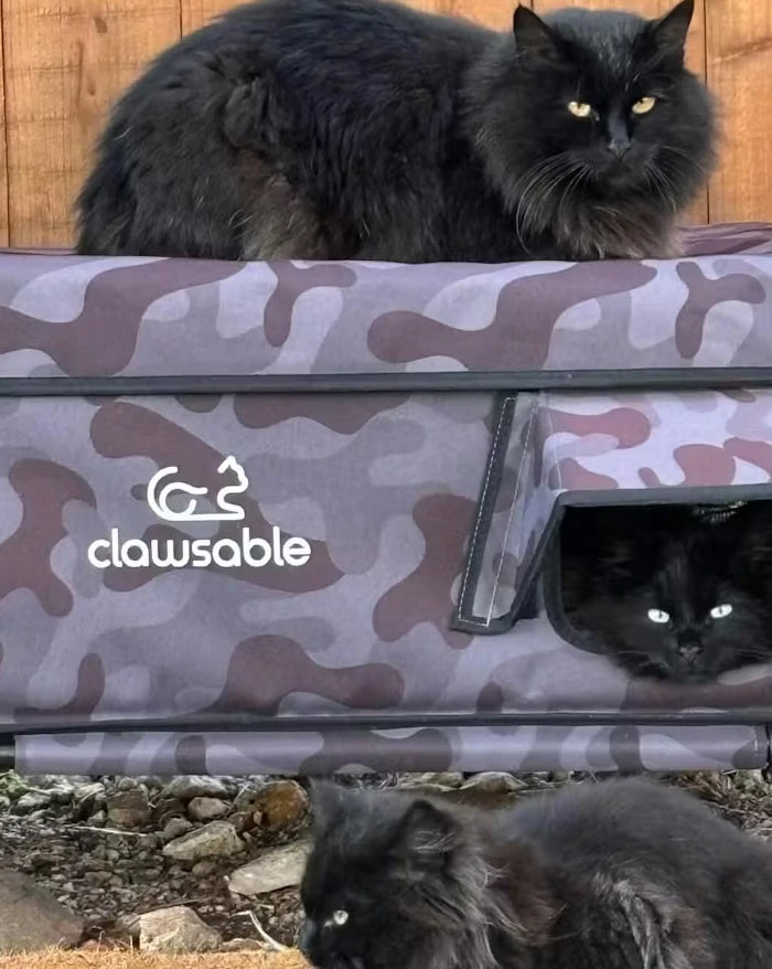 <h2>‘‘It took awhile, but now the feral kitties love it! Folded back the clear door flap and primed it with catnip and now they all take turns using it.’’</h2><h4>⭐⭐⭐⭐⭐<br/></h4><h5>Merchant</h5><p>Aug 2, 2024<br/></p>