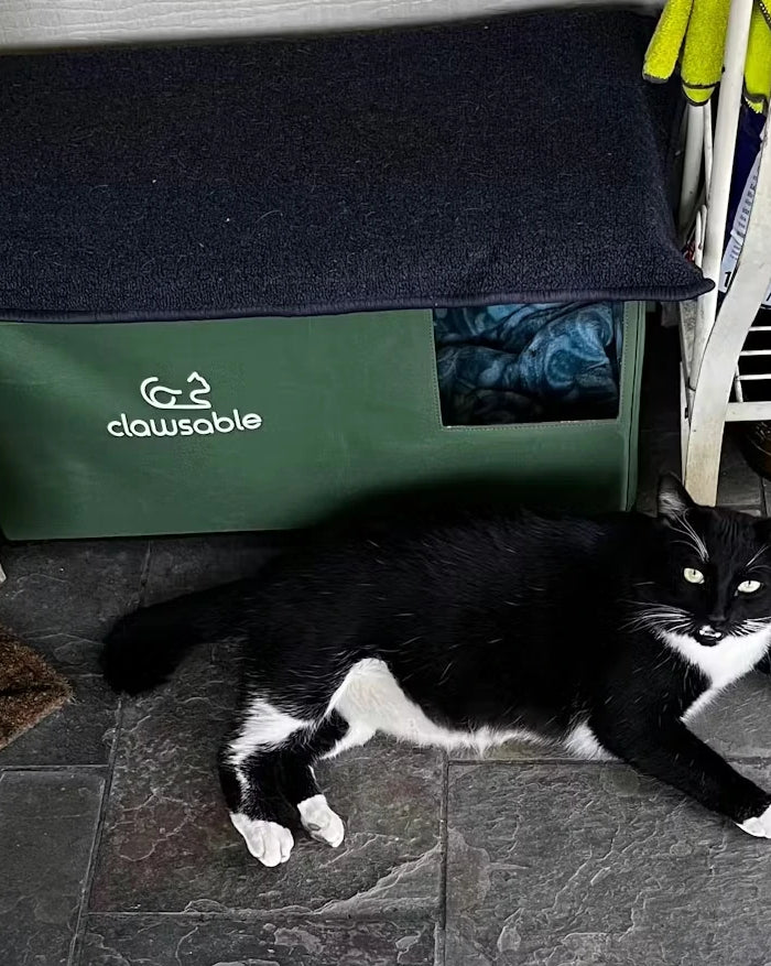 <h2>‘‘My outdoor cat Buddy enjoys his heated house. The first day he was making biscuits inside.’’</h2><h4>⭐⭐⭐⭐⭐<br/></h4><h5>Catharina</h5><p>Nov 16, 2025<br/></p>