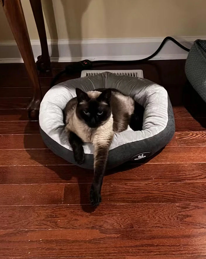 <h2>‘‘She loves the heated bed and is no longer sitting on the register waiting for the furnace to kick on.’’</h2><h4>⭐⭐⭐⭐⭐<br/></h4><h5>Shawn</h5><p>Feb 6, 2026<br/></p>