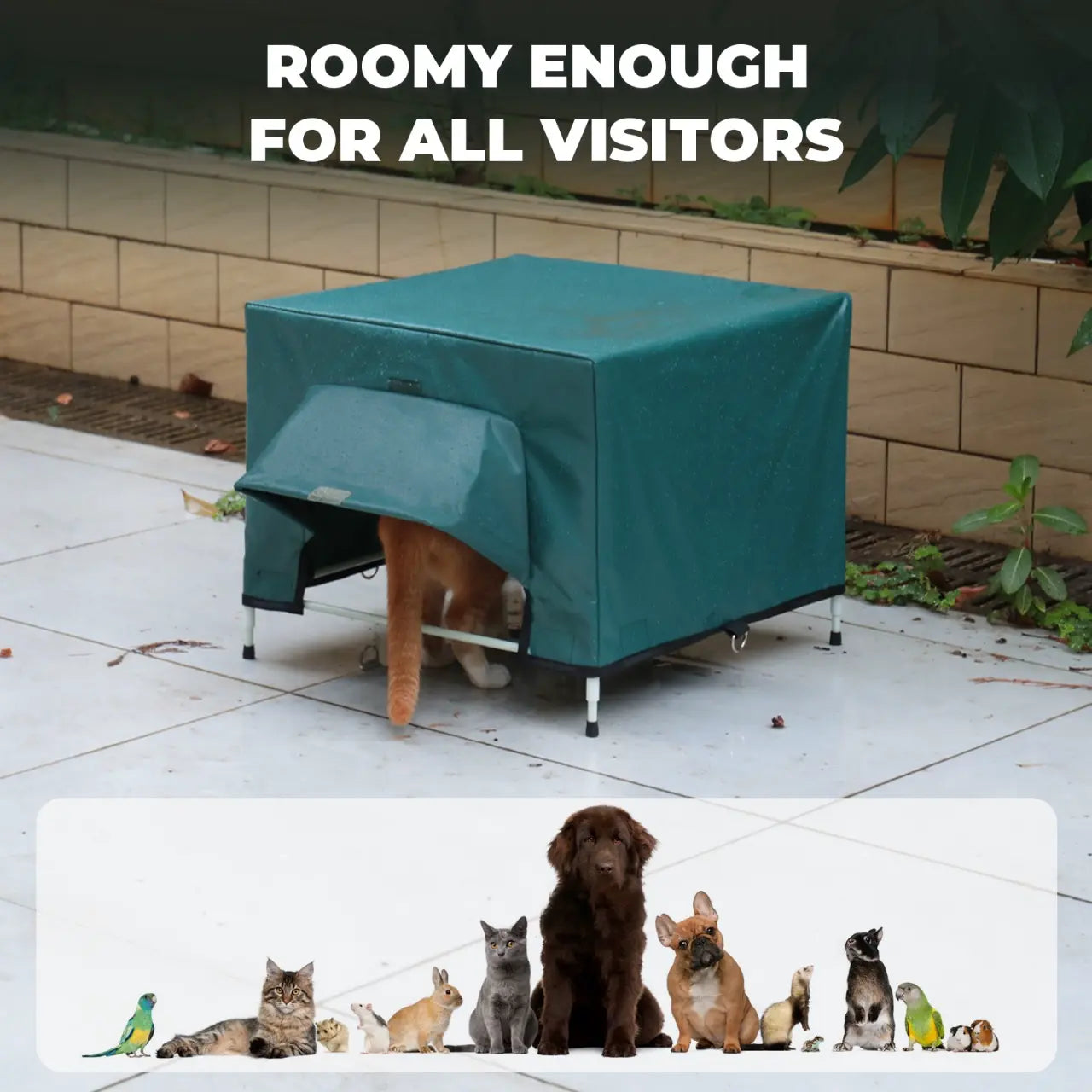 Outdoor Animals Feeding Station