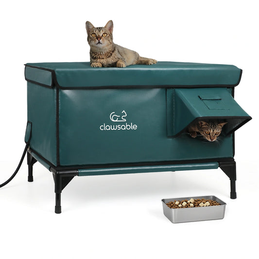 Clawsable heated outdoor cat house with two cats and stainless steel food bowl