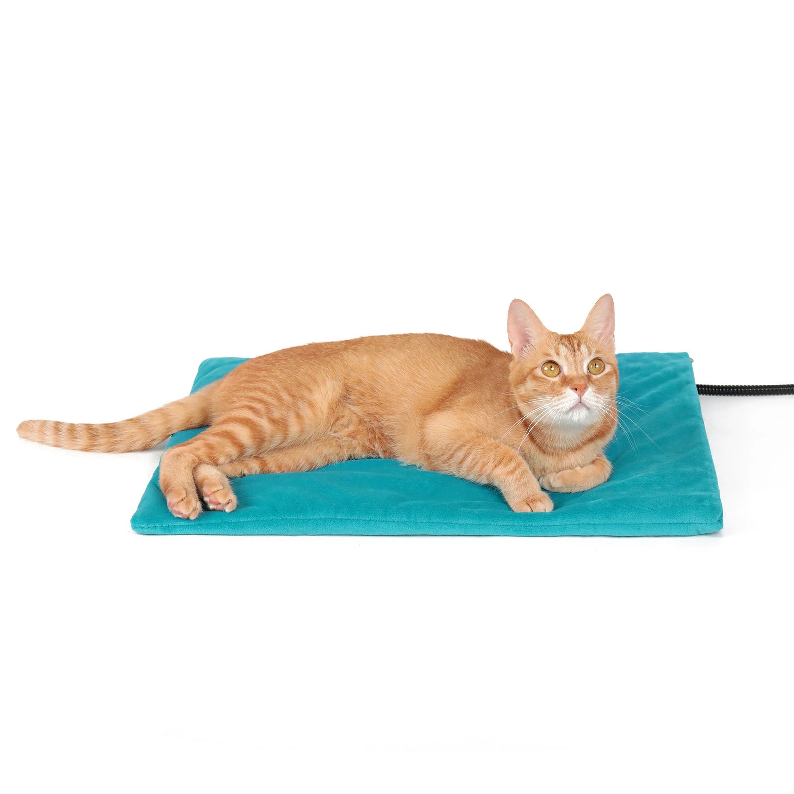 clawsable pet heated pad 16x20