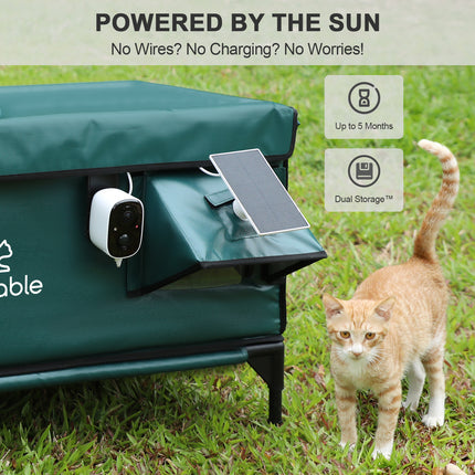 Green storage bin with solar panel and cat standing on grass, featuring 'Cable' brand.