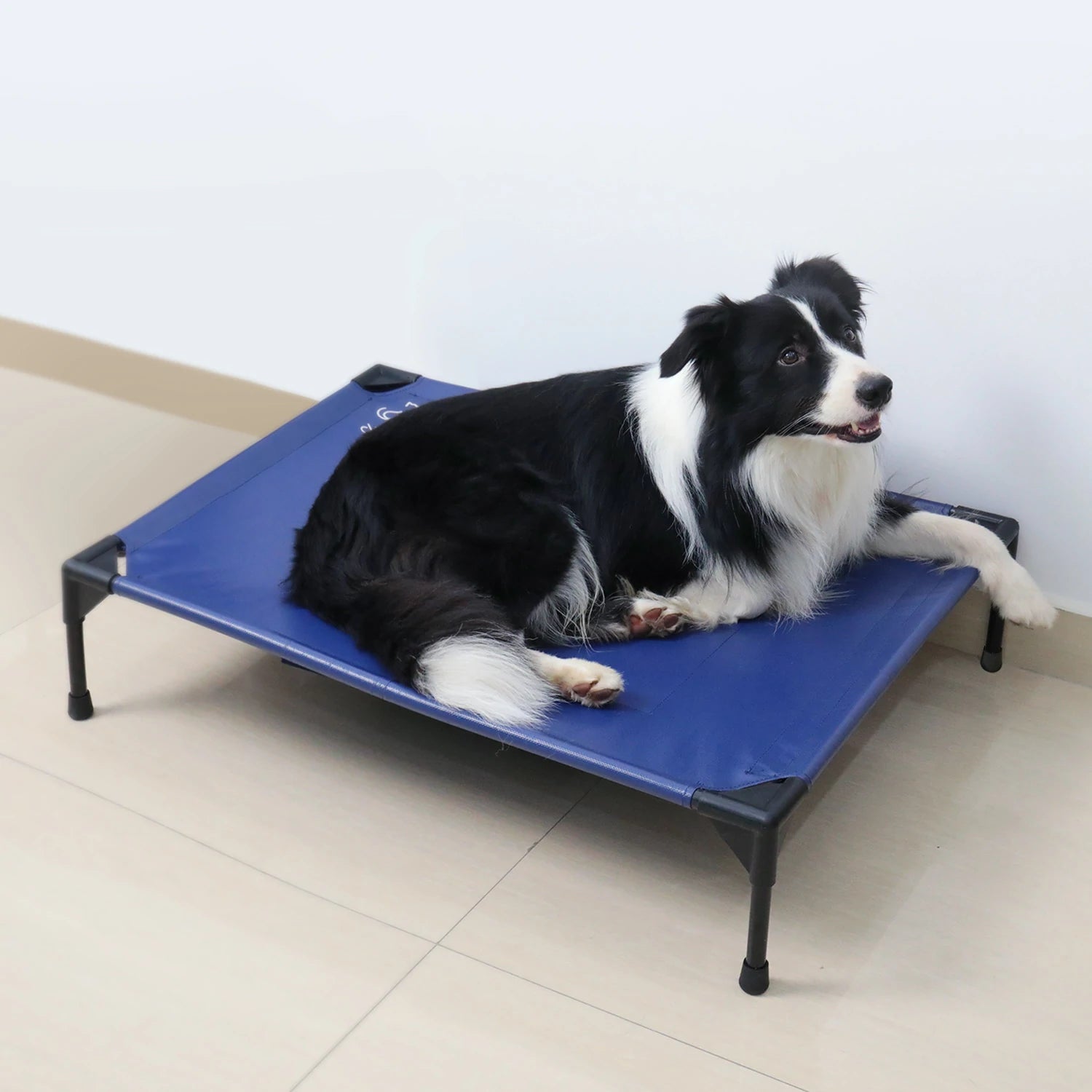 elevated cooling dog bed indoor