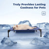 elevated cooling dog bed lasting coolness