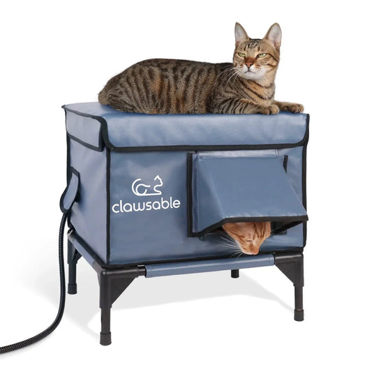 enhanced small cat house main picture