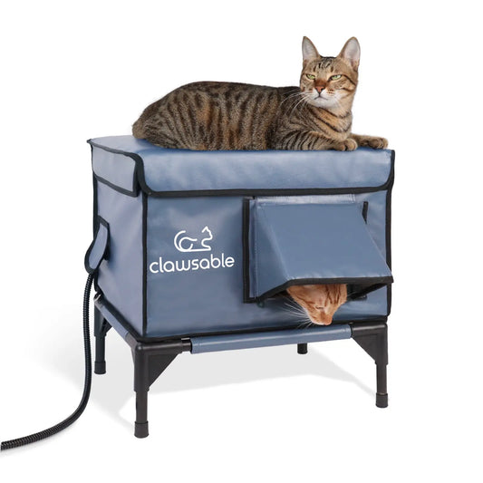 2-Door Enhanced Lift-Top Elevated Heated Outdoor Cat House Small