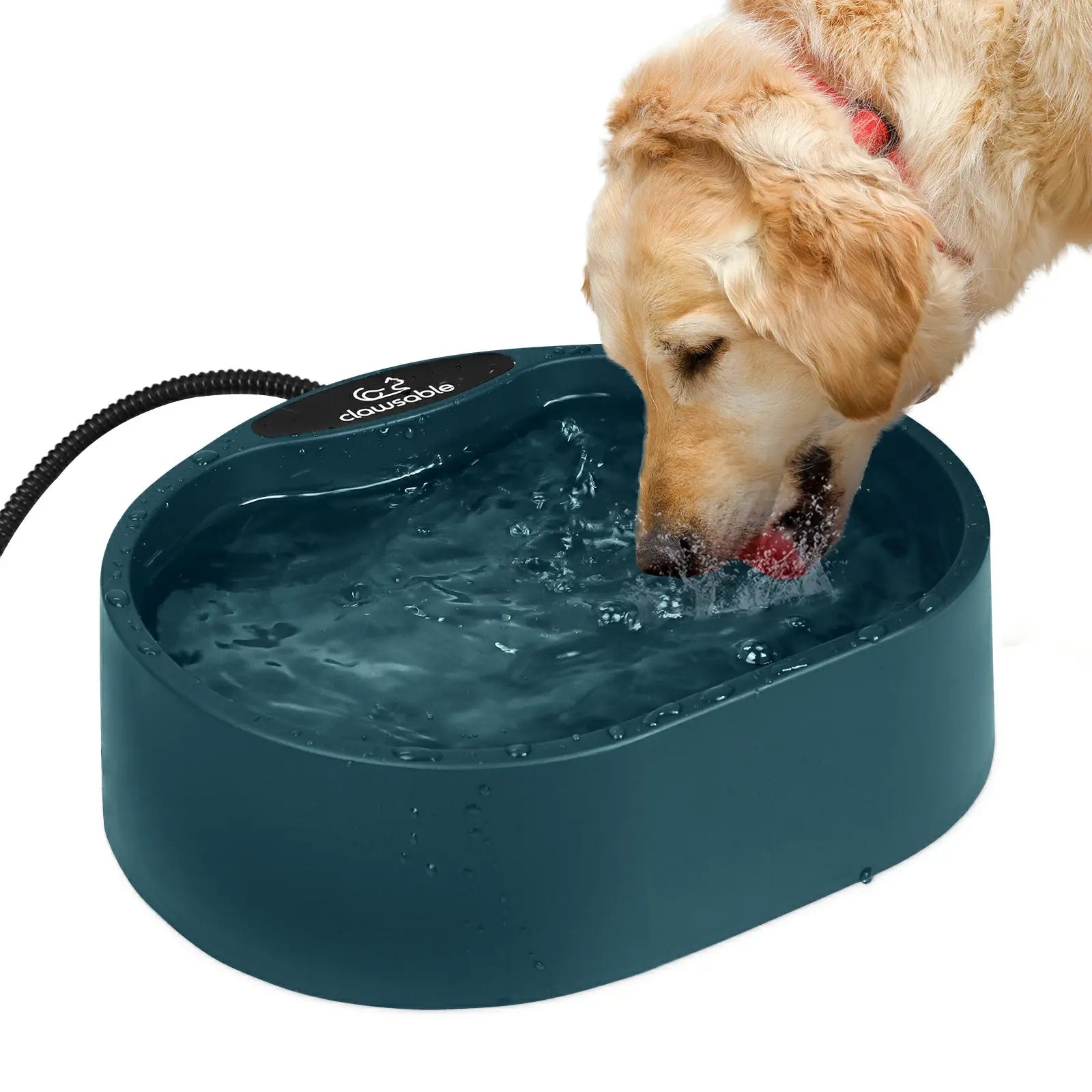 extra large oval heated pet bowl teal