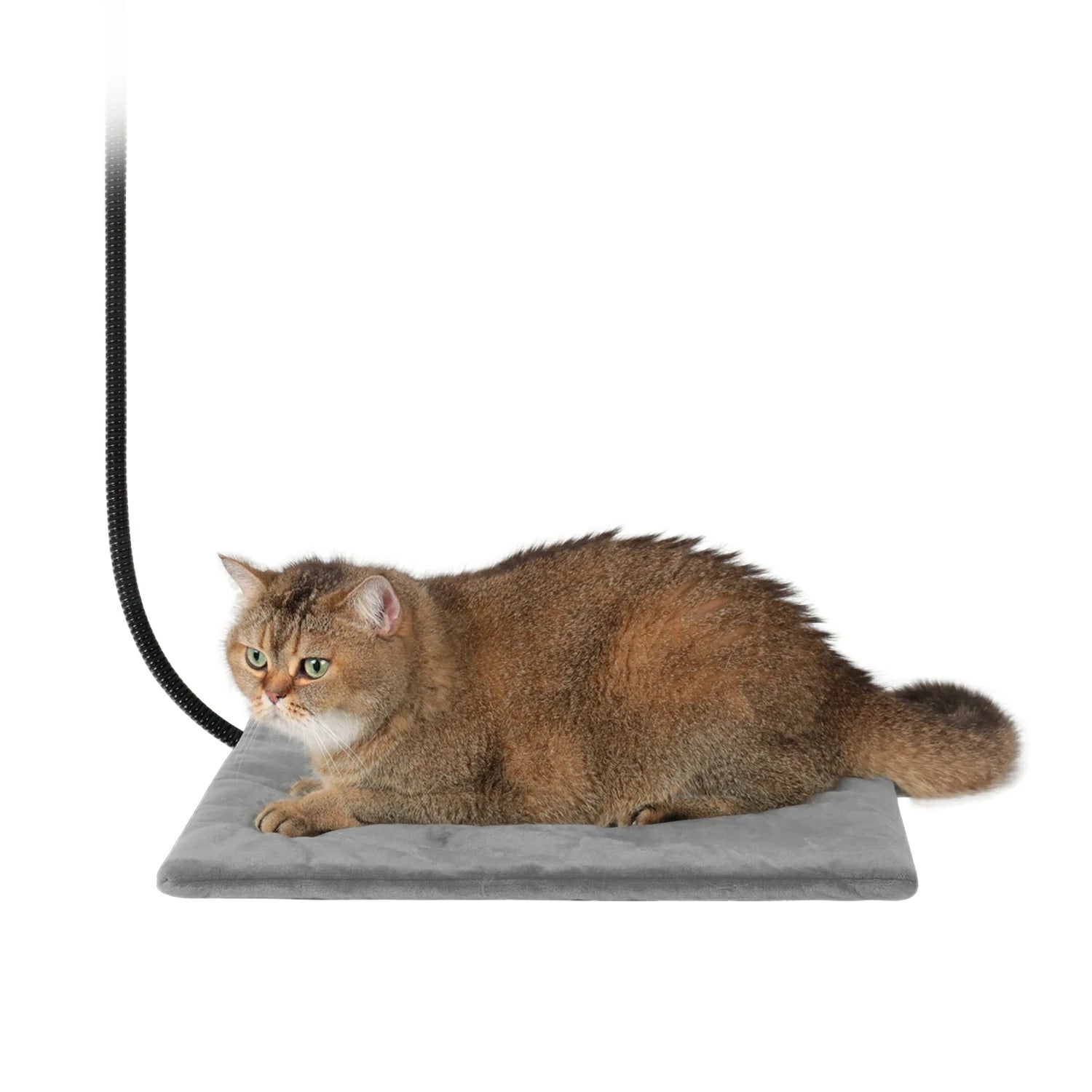 Heated Pet Pad 16x16 in