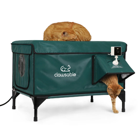 Two cats using a green waterproof heated outdoor cat house with camera, insulated design keeps pets warm and safe during cold winter weather