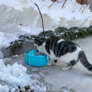 Winter Pet Bowl