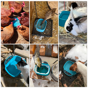 Warm Pet Dish