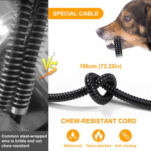 3L Large Heated Pet Bowl