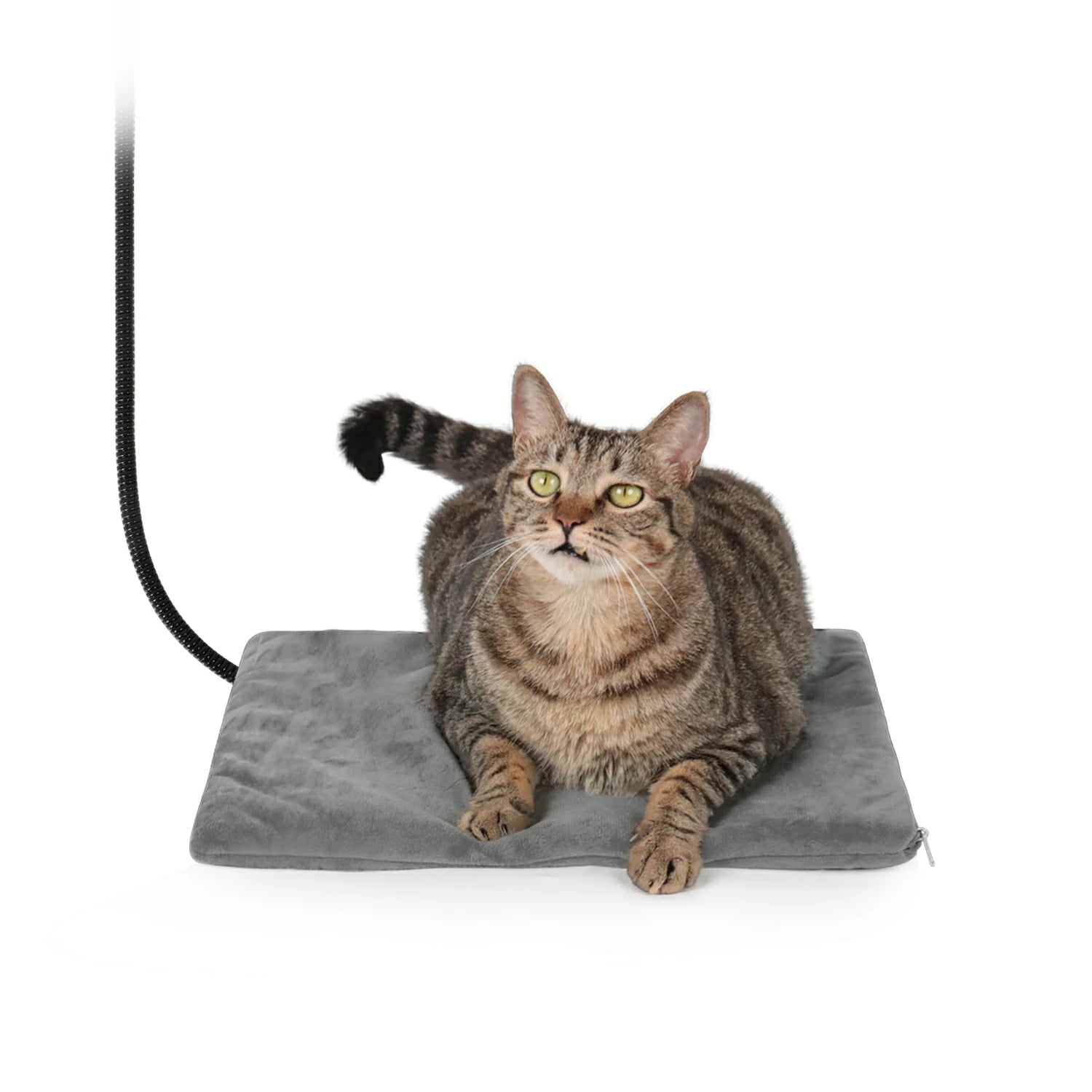 Heated Pet Pad 12x16 in