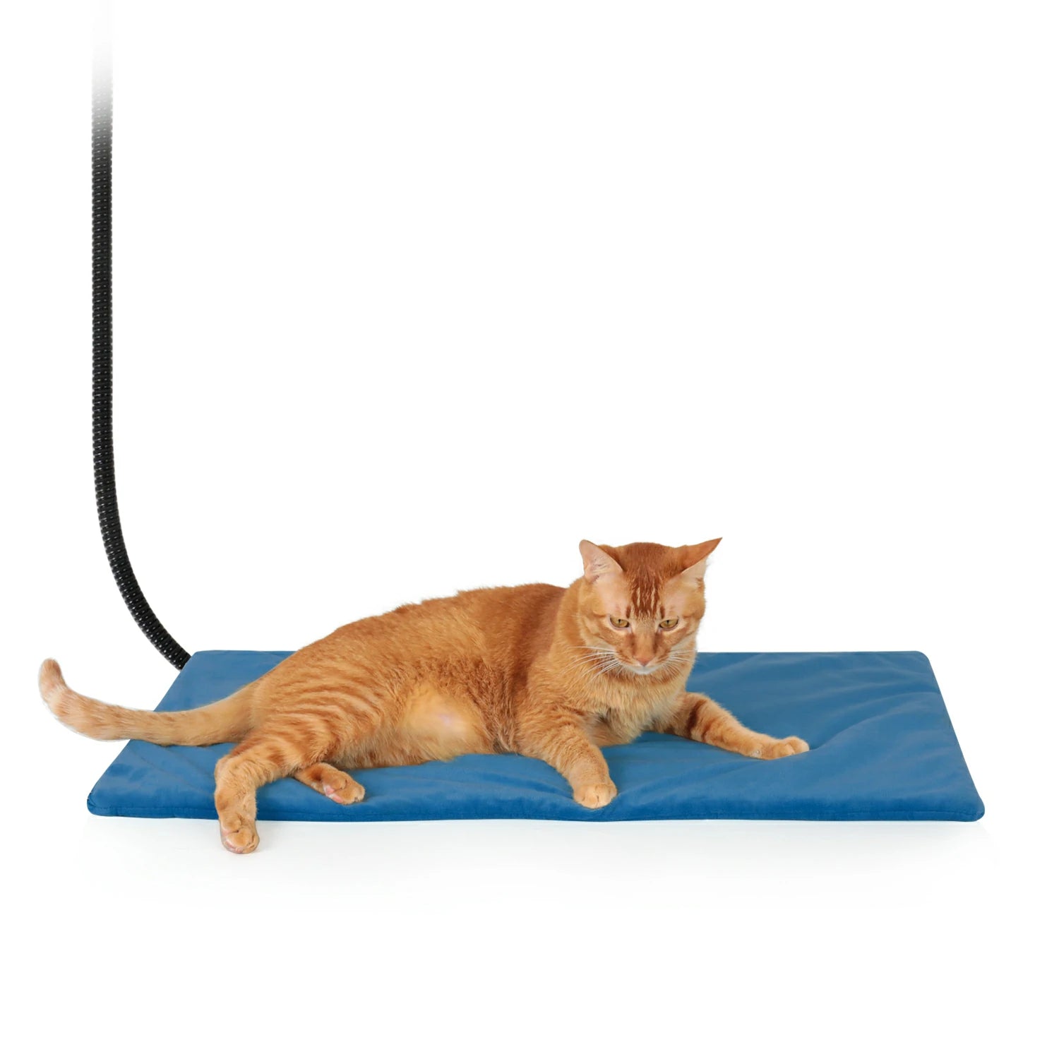 Pet heating pads for cats hotsell