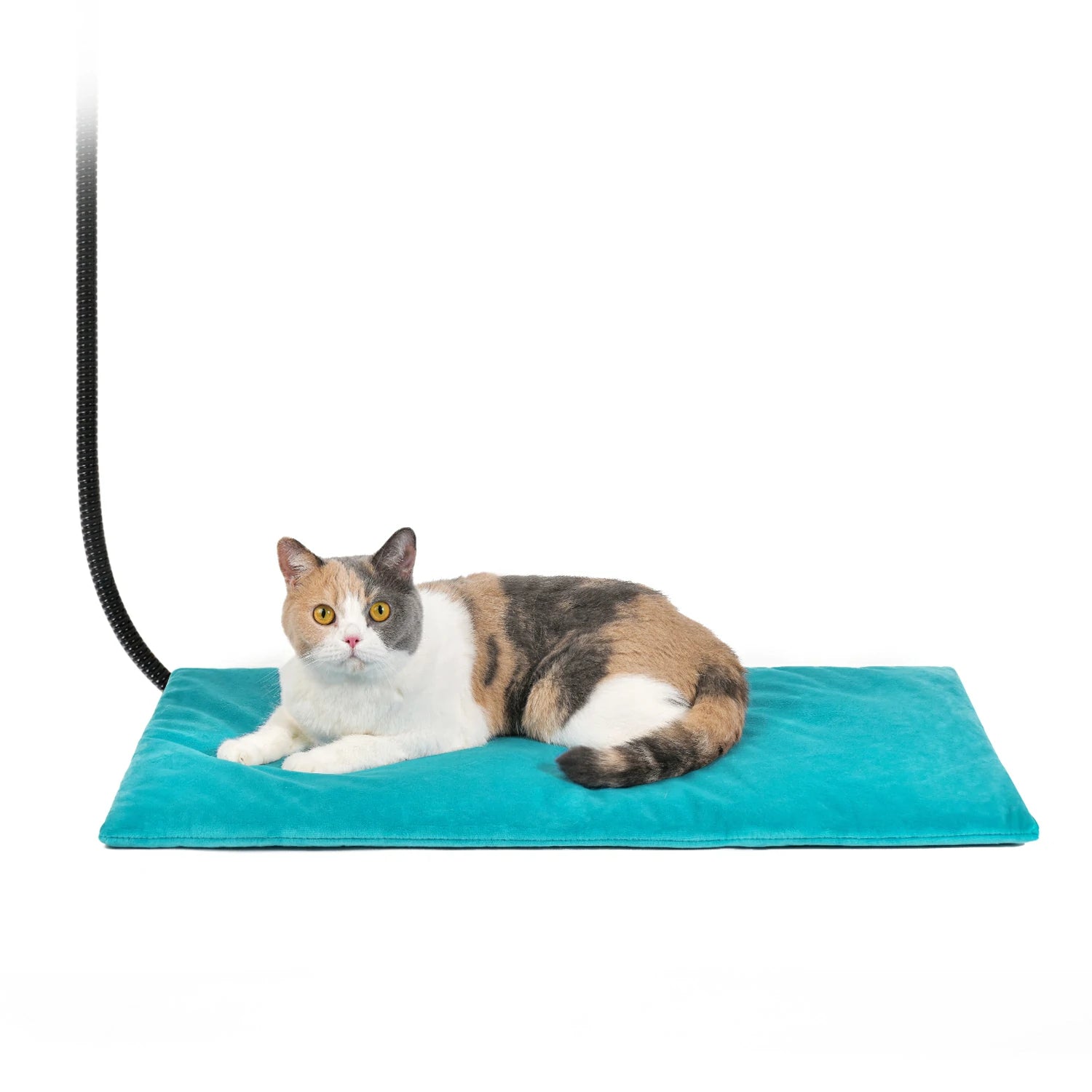 Heated Pet Pad 16x28 Large Adjustable Pet Mat Clawsable