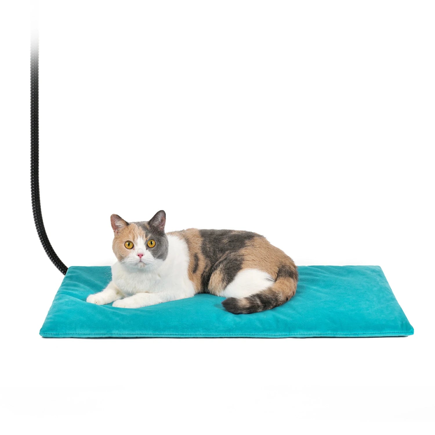 2 Pcs Cat Heating Pad Round 16 Inch Self Heating Cat Mat... 2 Pcs Cat Heating Pad Round 16 Inch Self Heating Cat Mat...