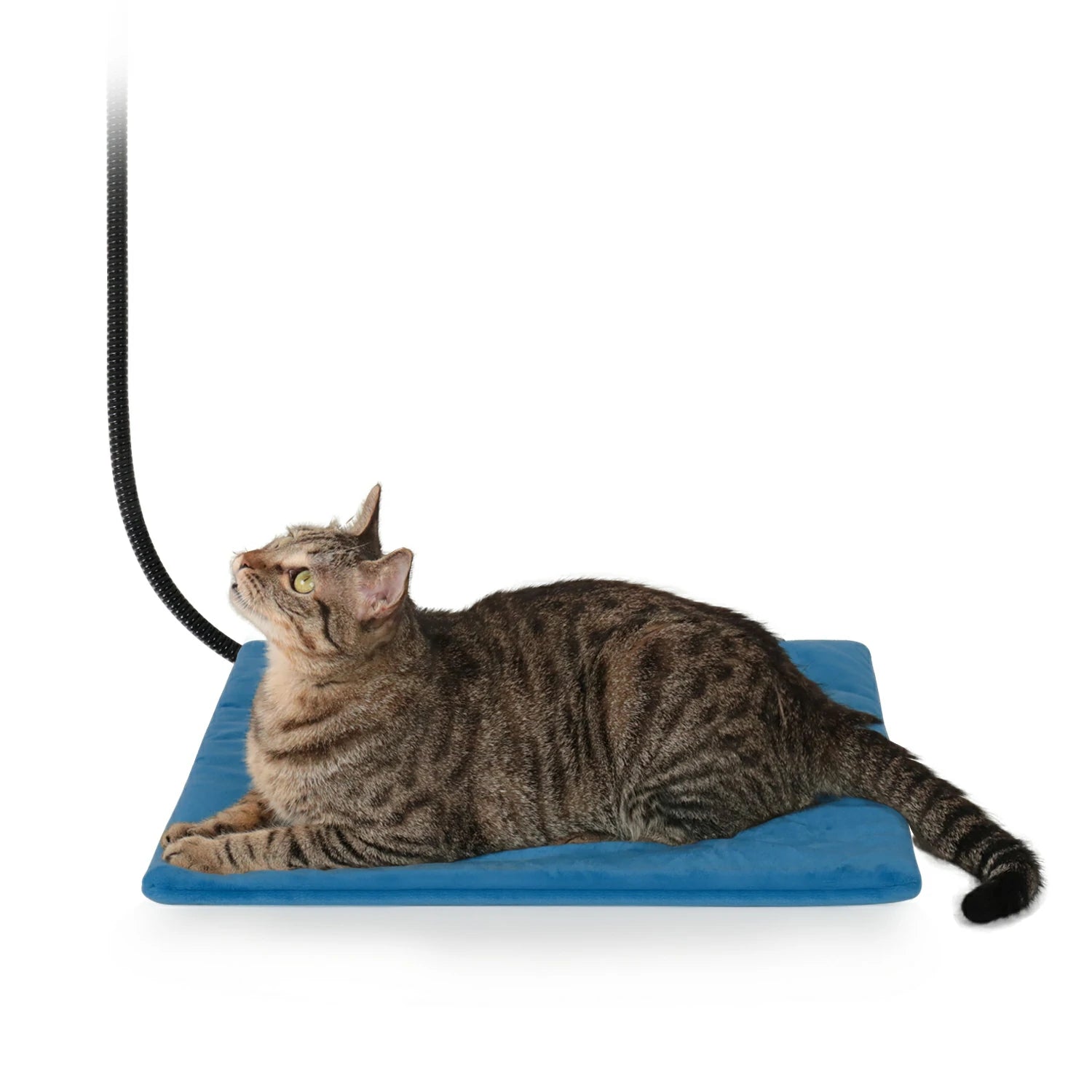 Heated Pet Pad 17.7 x 17.7 in - Ultimate Safety & Comfort