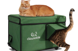 insulated waterproof cat house outside medium green