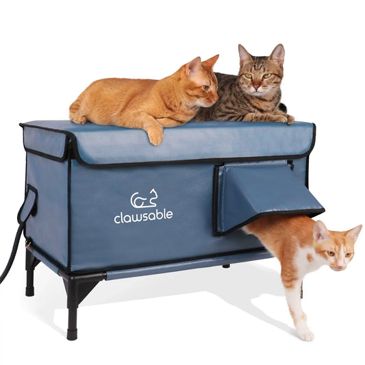 2-Door Enhanced Lift-Top Elevated Heated Outdoor Cat House Large