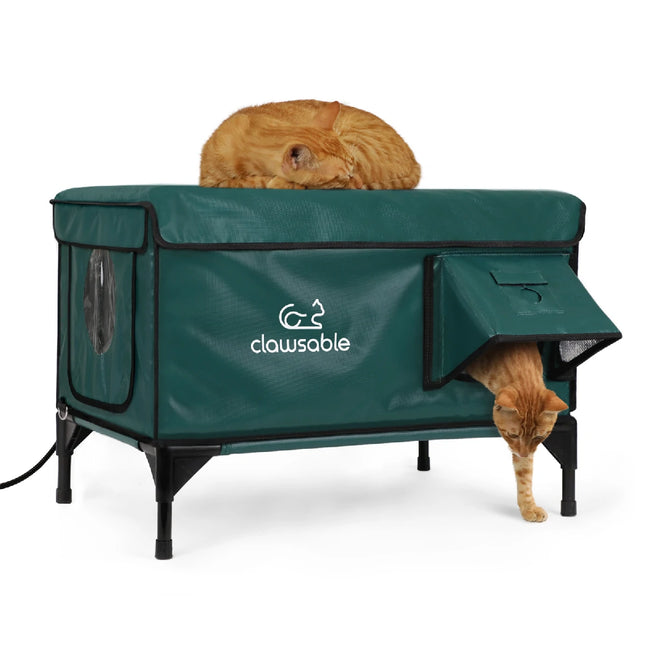 Green elevated heated outdoor cat house , insulated waterproof shelter for winter use