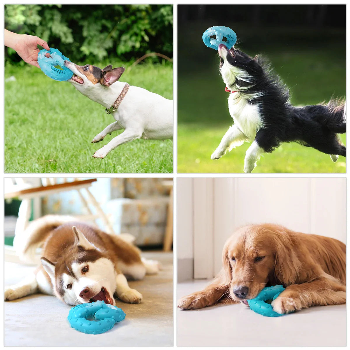 Dog Chew Toy