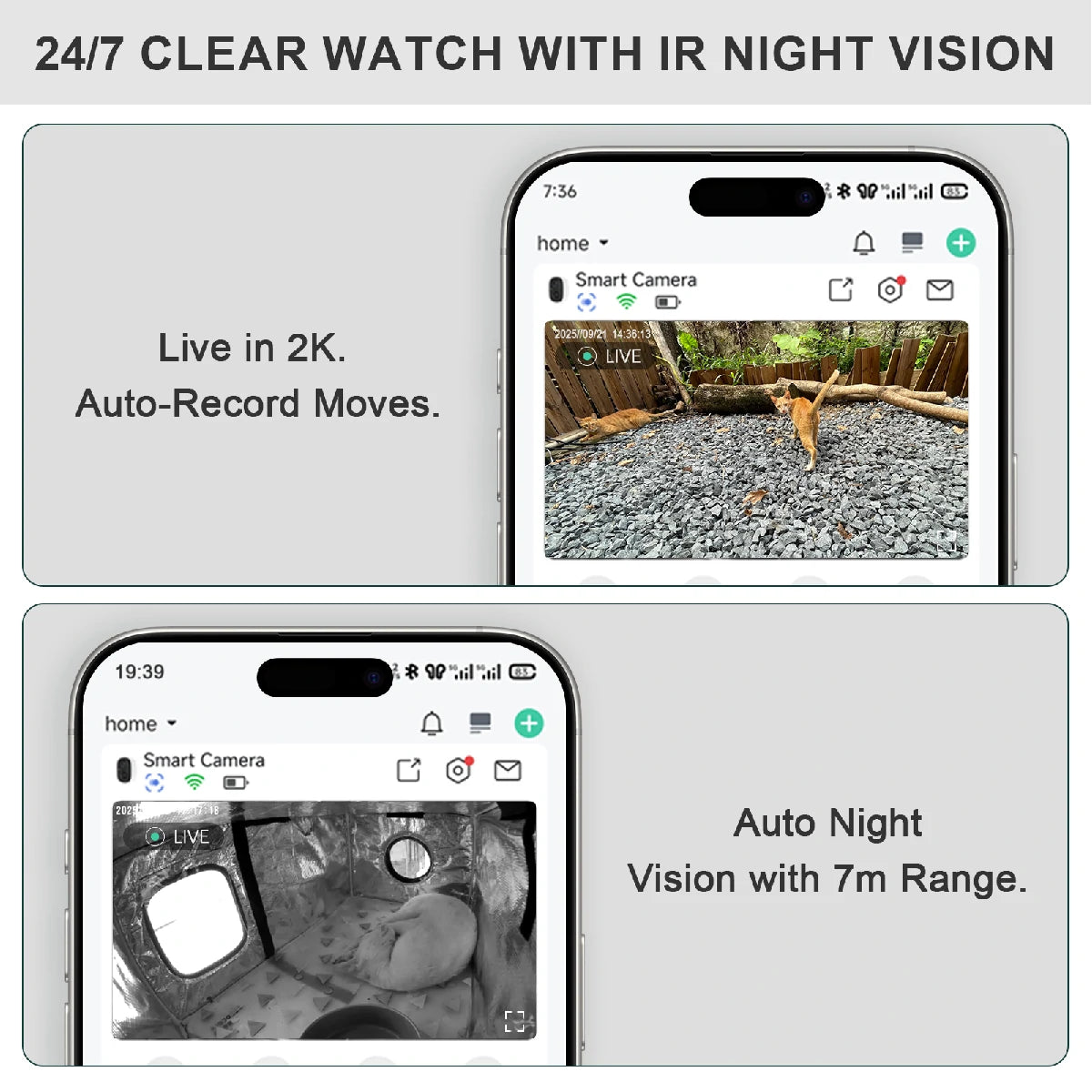 Smart cat camera with 2K live view and automatic motion recording, featuring IR night vision up to 7 meters for clear 24/7 monitoring.