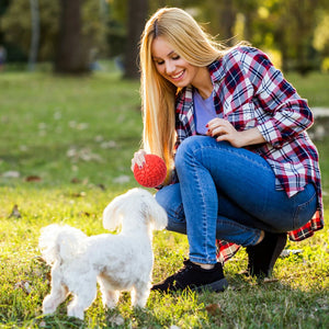 Squeaky Ball Toy