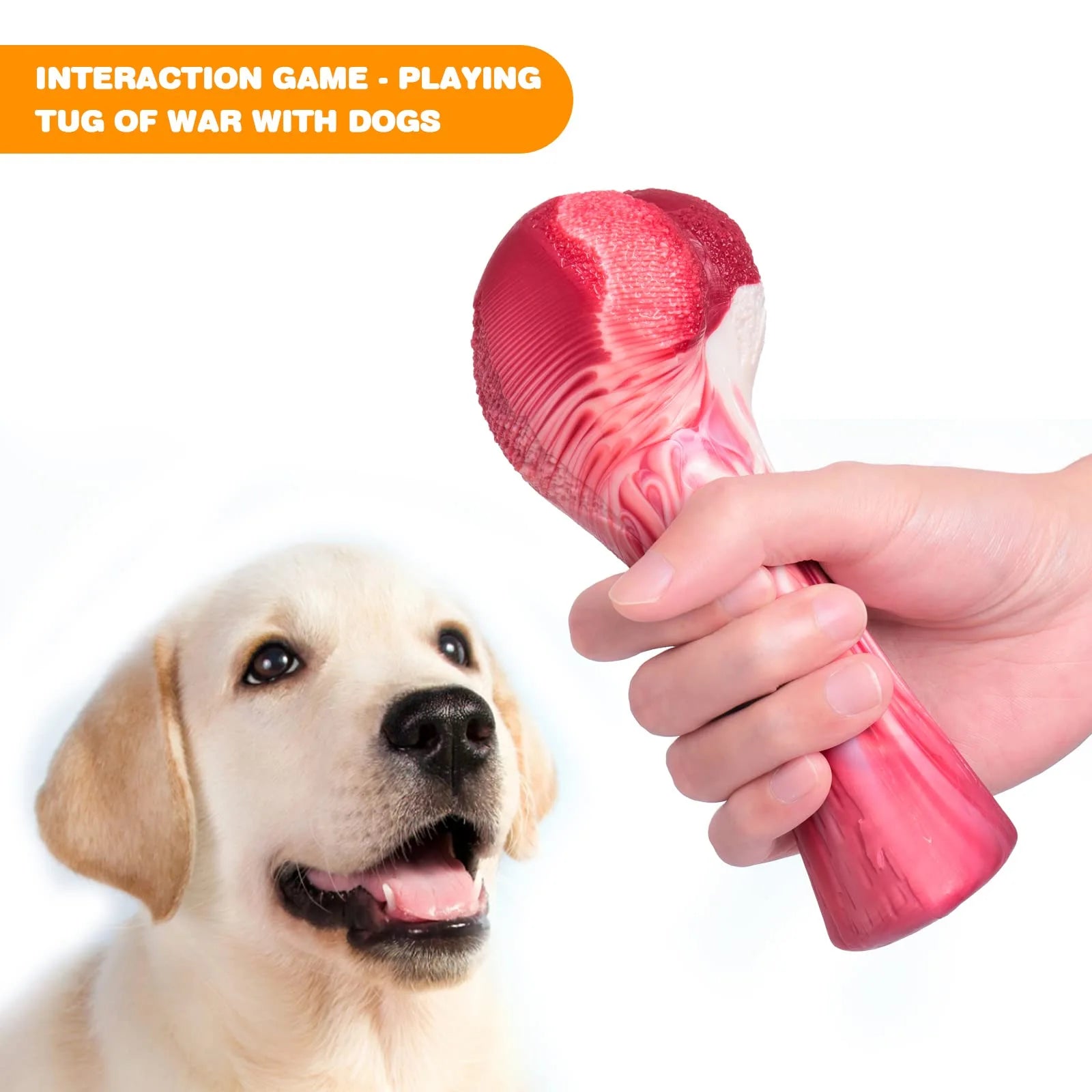 teeth cleaning toys for dogs