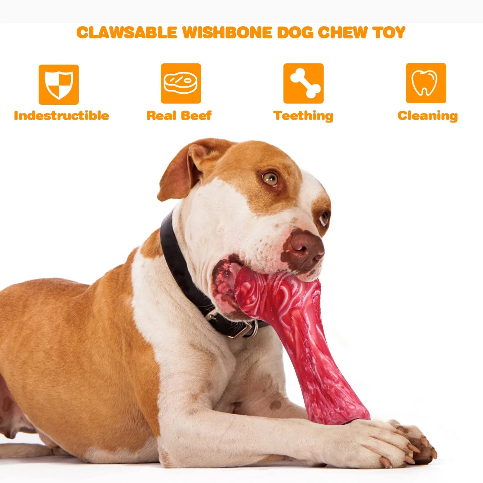 Dental Chew Toy